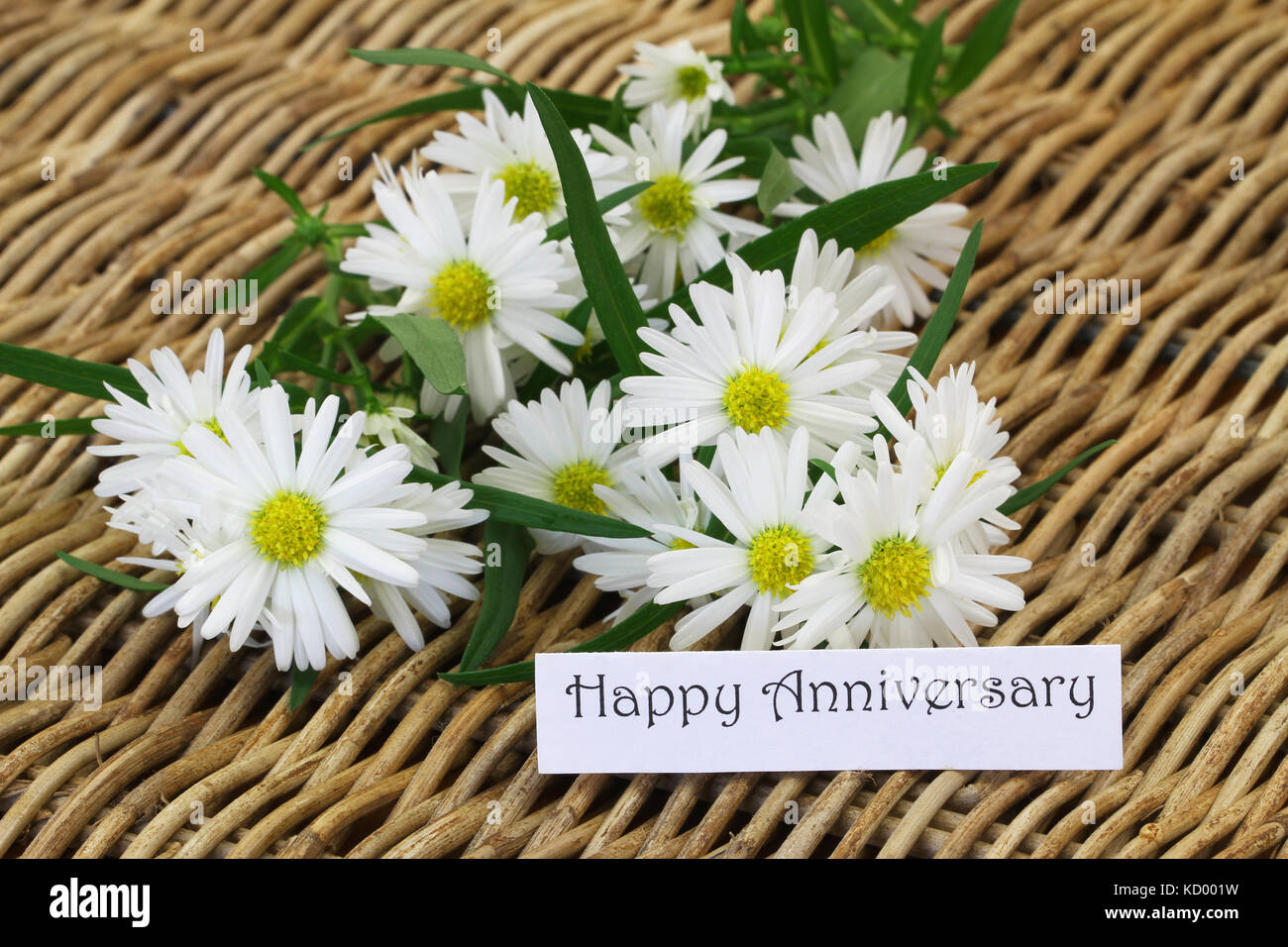 Herzlichen Glückwunsch zum Jubiläum Karte mit Bündel von Daisy Flowers