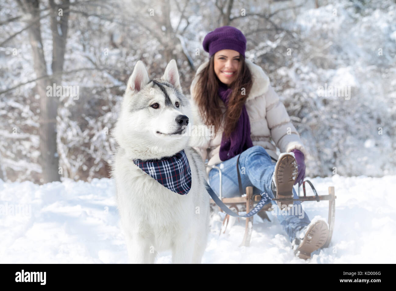 Winterspaß mit Hund Stockfoto