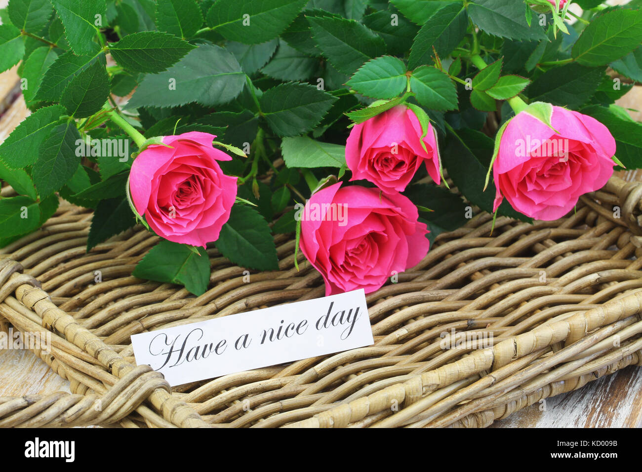 Einen schönen Tag noch Karte mit rosa Wildrosen auf wicker Stockfoto