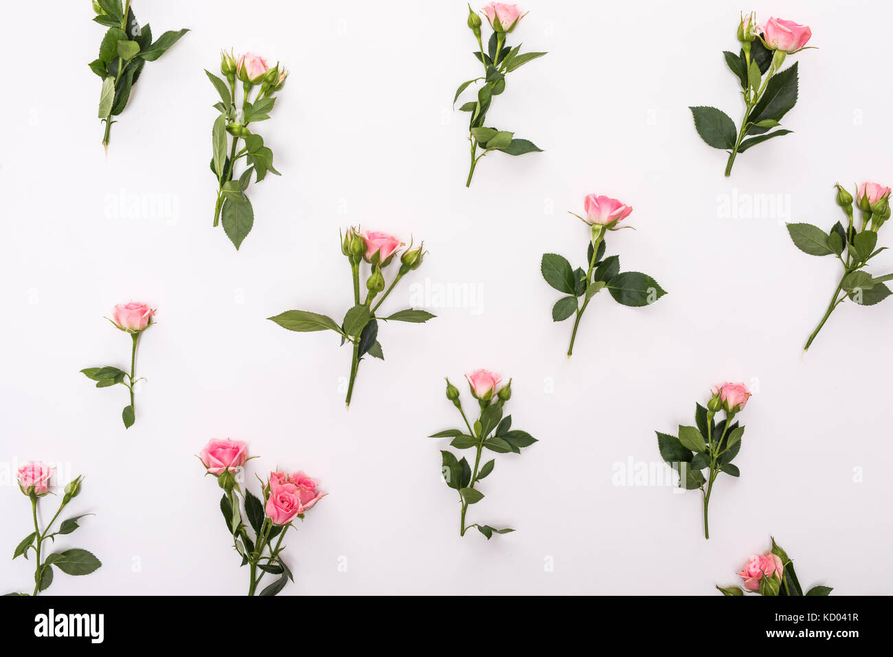 Blumen Komposition. Rahmen aus getrockneten Rosen. Flach, Ansicht von oben Stockfoto