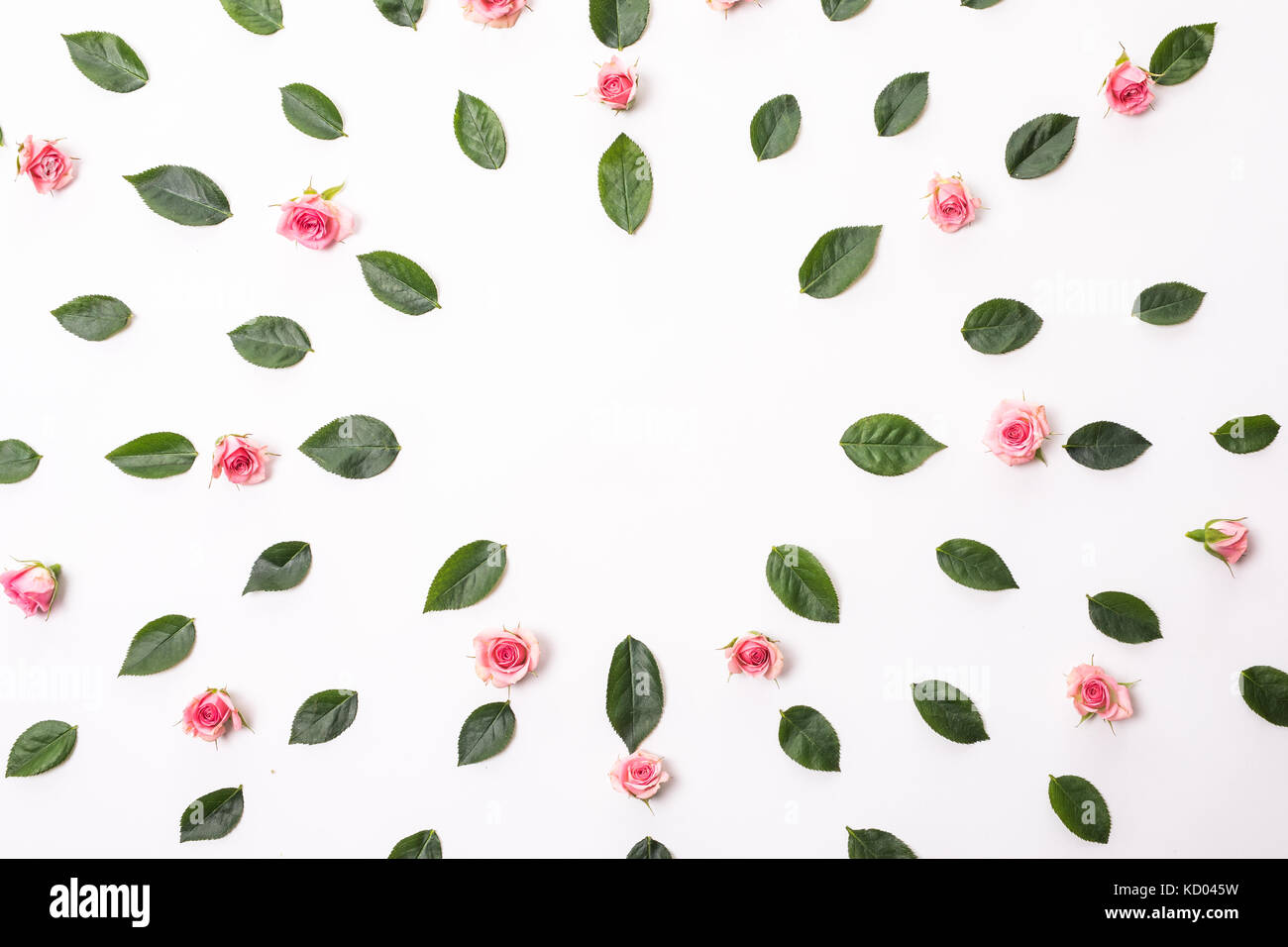 Blumen Zusammensetzung. Rahmen mit rosa Blüten und Eukalyptus Filialen. Stockfoto