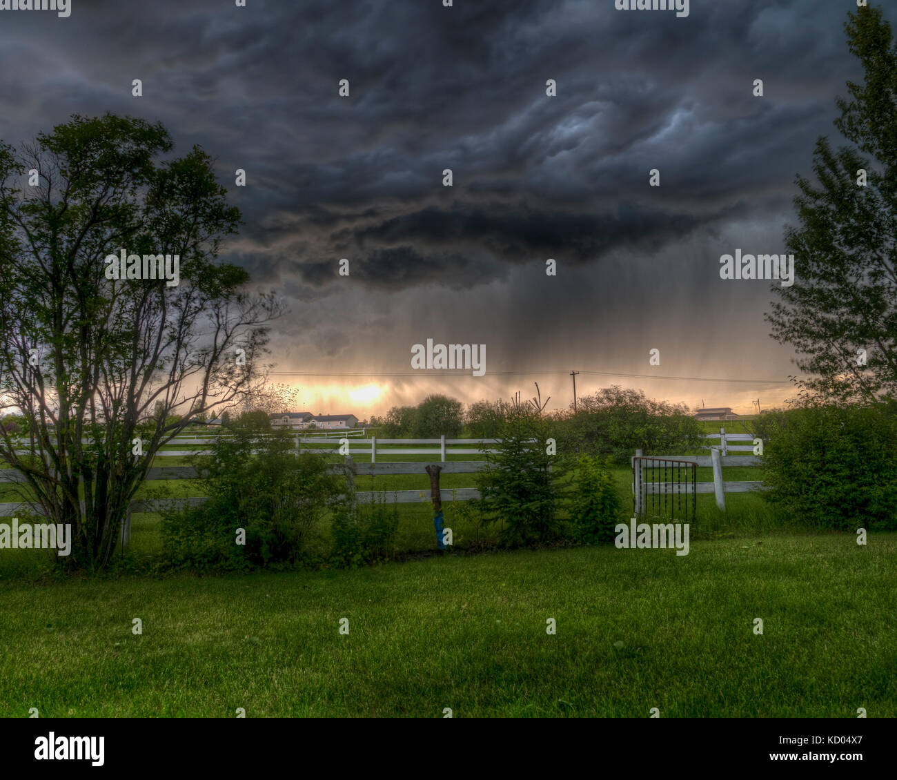 Dewinton Fotos und Bildmaterial in hoher Auflösung Alamy