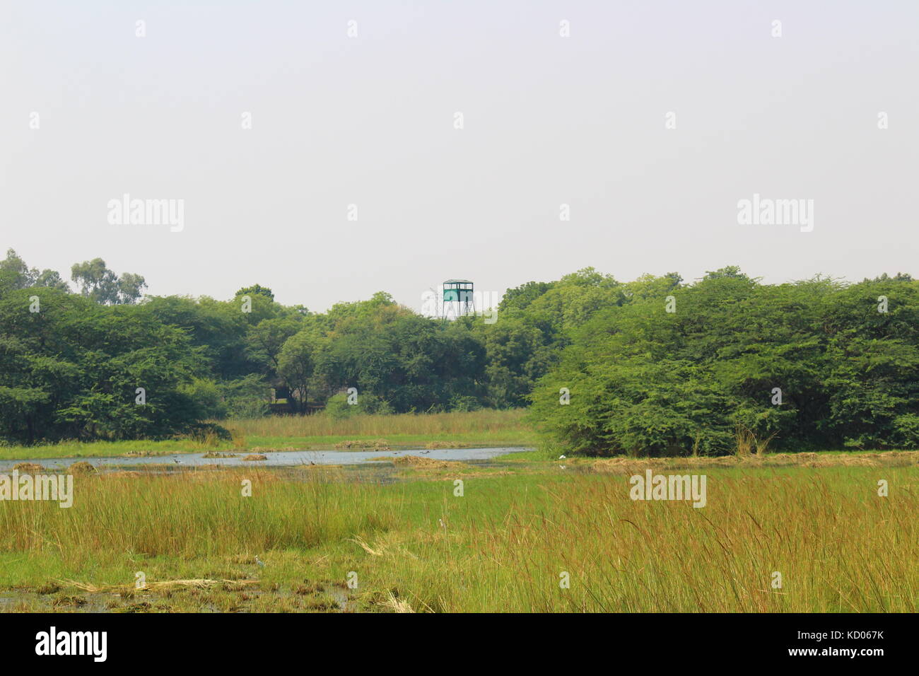 Vogelbeobachtung Turm bei sultanpur Nationalpark in Haryana, Indien Stockfoto