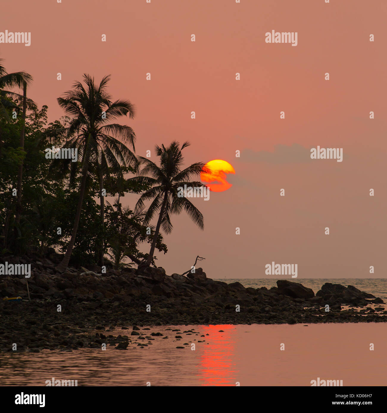 Palmen Silhouette in den Sonnenuntergang, Thailand Stockfoto