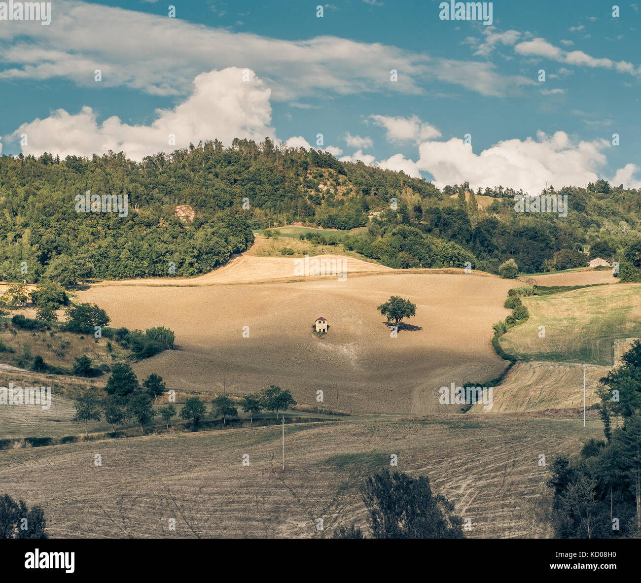Felder entlang dem Tal der savena Fluss angebaut. Provinz Bologna, Emilia Romagna, Italien. Stockfoto