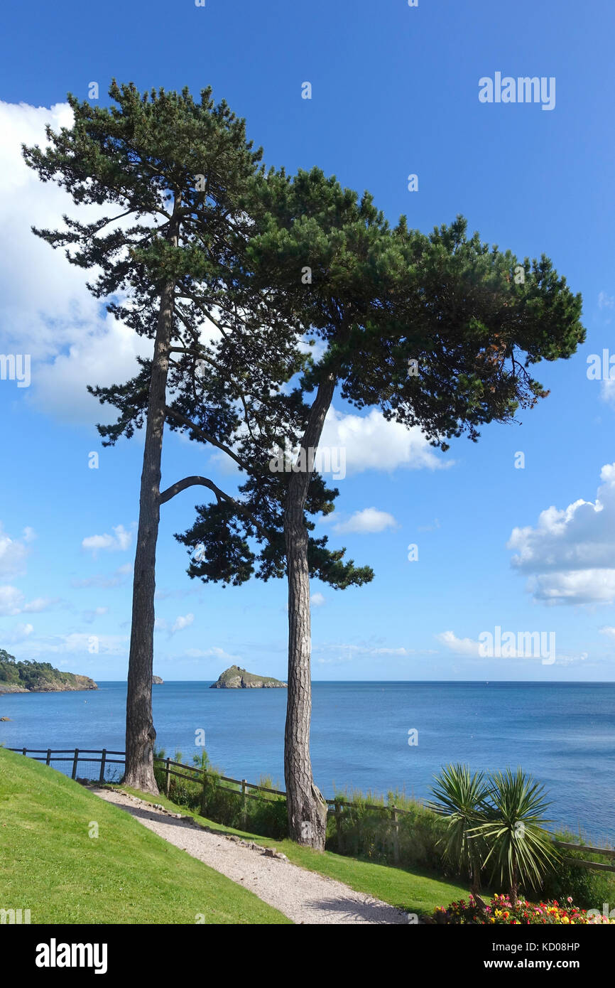 Anzeigen von Tor Bay mit Thatcher Rock auf einem perfekten Sommer am Nachmittag, von dem Gelände der Osborne Hotel, Torquay, oben Meadfoot Beach. Stockfoto