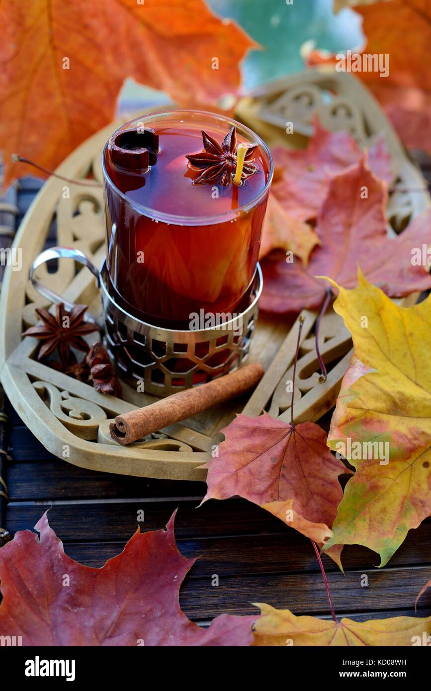 Heißes Getränk und Hagebutten, аpple, Anis und Zimt Stockfoto