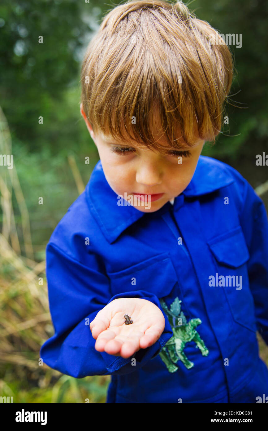 Ein kleiner Junge mit einem Baby Kröte in seiner Hand. Stockfoto