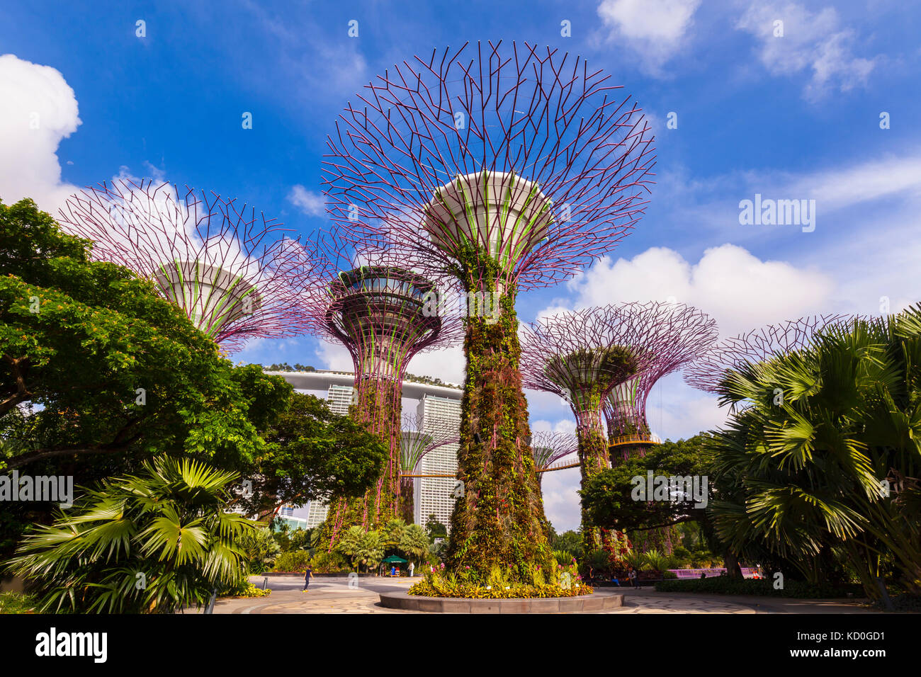 Supertree Grove und Gärten, Singapur, Südostasien Stockfoto