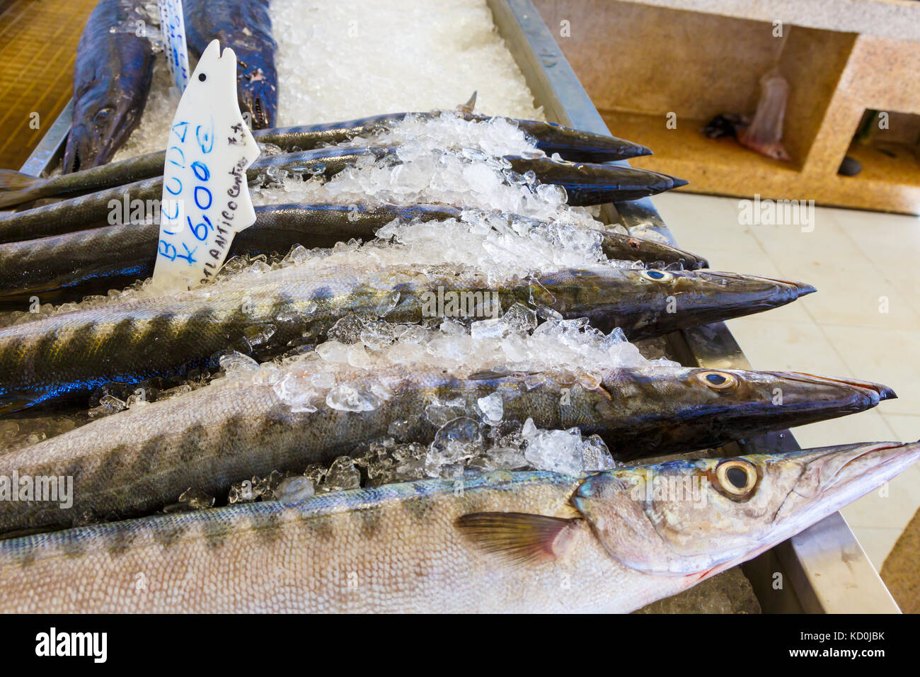 Fische in einem Fischmarkt. Stockfoto