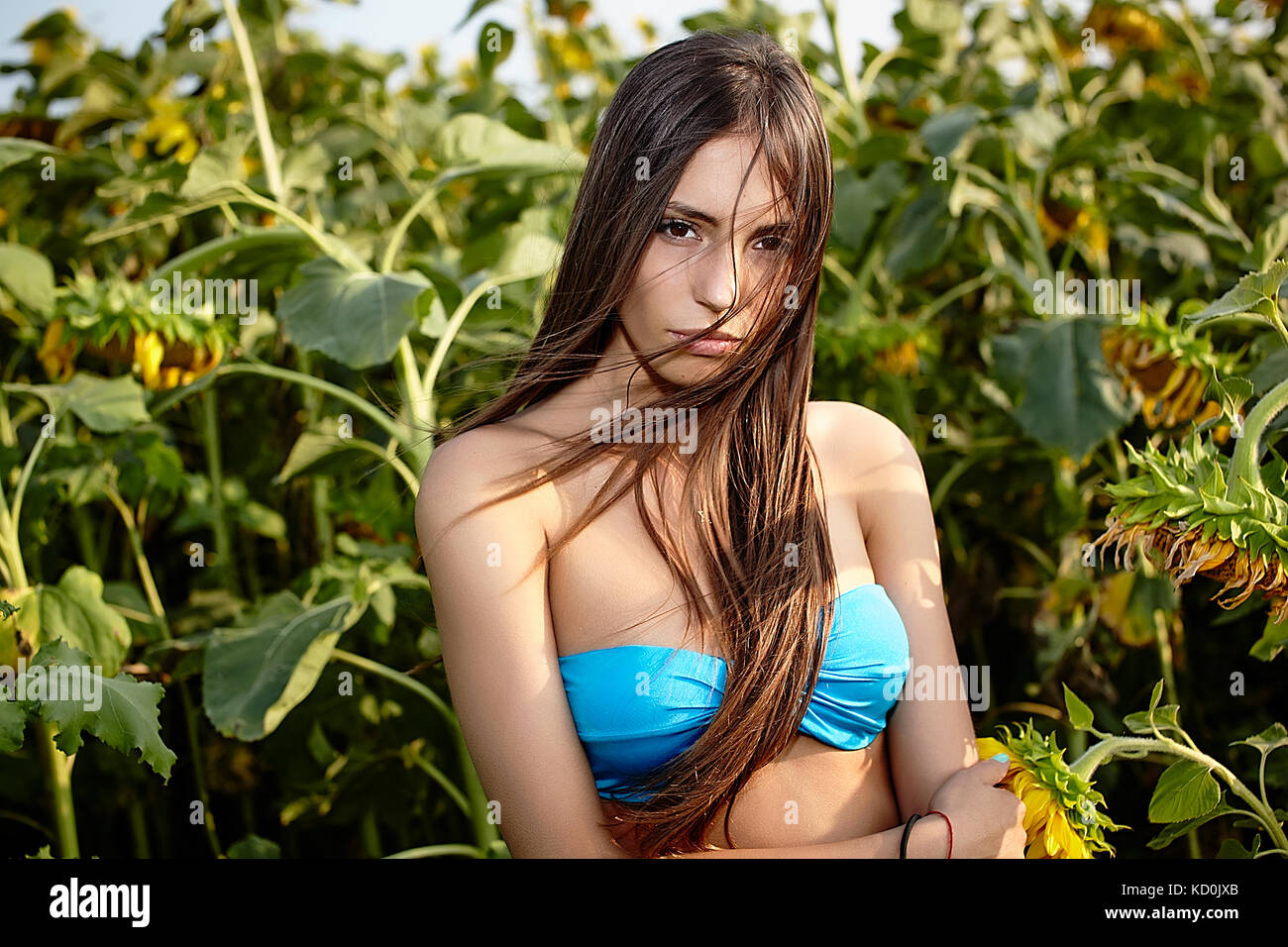 Porträt der jungen Frau im Bikini Oberteil im Sonnenblumenfeld Stockfoto