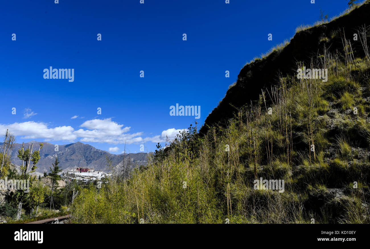 Lhasa. 8. Oktober, 2017. Foto auf okt. 8, 2017 zeigt die Landschaft in nanshan Park in der Nähe der Potala Palast in Lhasa, Hauptstadt der Südwesten Chinas Tibet autonomen Region. Credit: purbu zhaxi/Xinhua/alamy leben Nachrichten Stockfoto