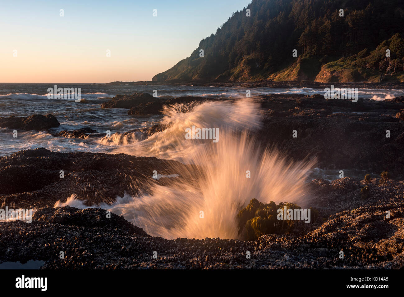 Cape Perpetua, Küste von Oregon, USA Stockfoto