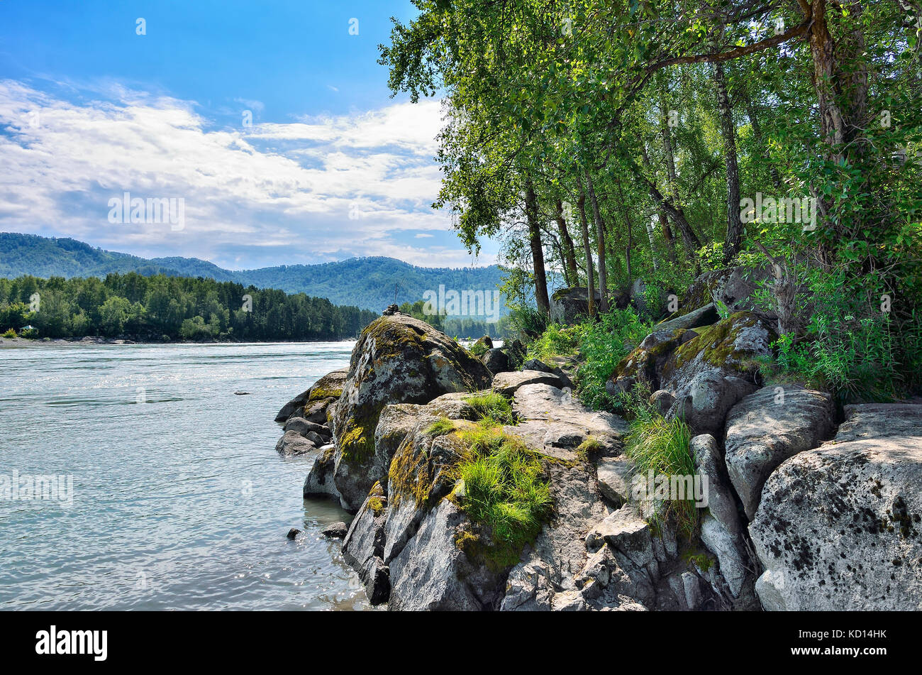 Sommer Landschaft auf dem felsigen Ufer des schnellen sibirischen Fluss Katun, Felsen aus Kalkstein mit Moos bedeckt, dichten Wald auf beiden Banken, altai Doppelzi. Stockfoto