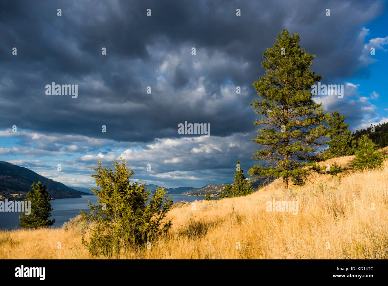 Knox Mountain Park, Kelowna, Okanagan Region, British Columbia, Kanada. Stockfoto