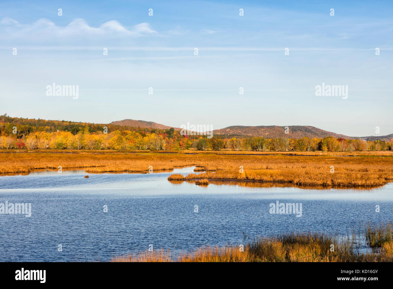 Nerepis Fluss, Westfield, Kings County, New Brunswick, Kanada Stockfoto