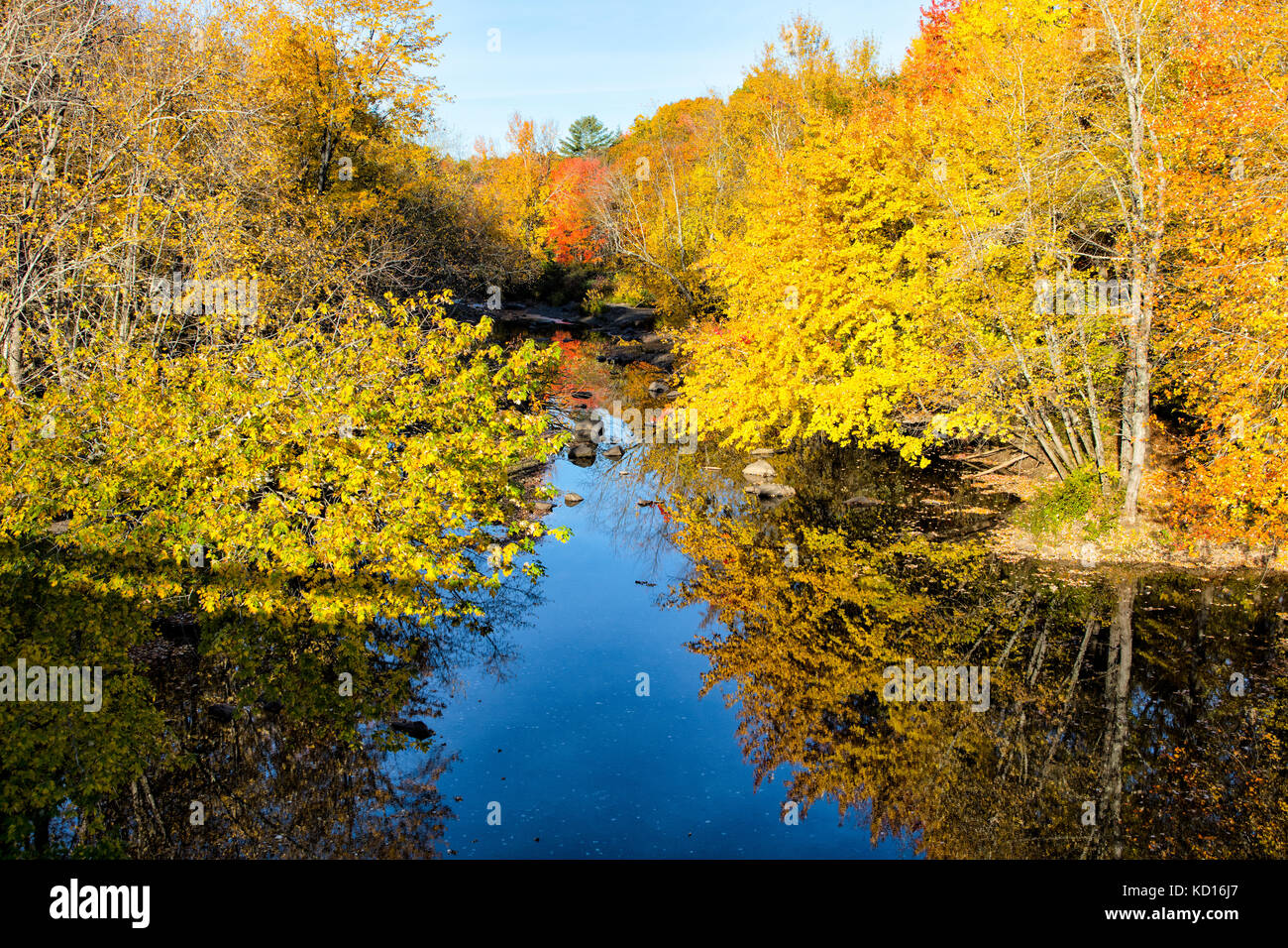 Falllaub in Fluss reflektiert, zentrale Greenwich, New Brunswick, Kanada Stockfoto