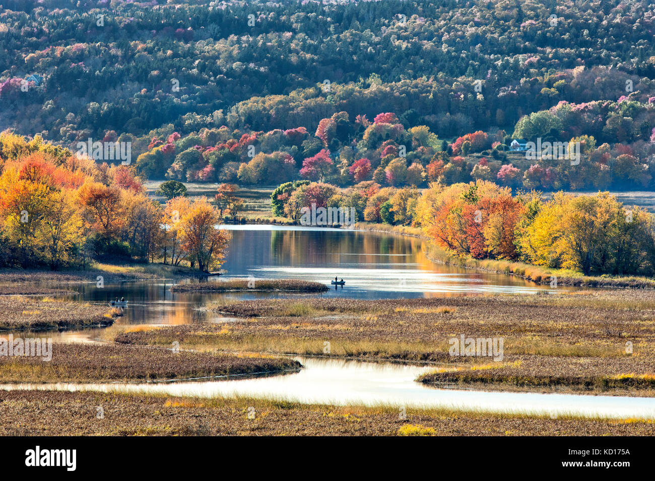 Blick vom See in Richtung Lieblinge Insel, Hampton, New Brunswick, Kanada Stockfoto