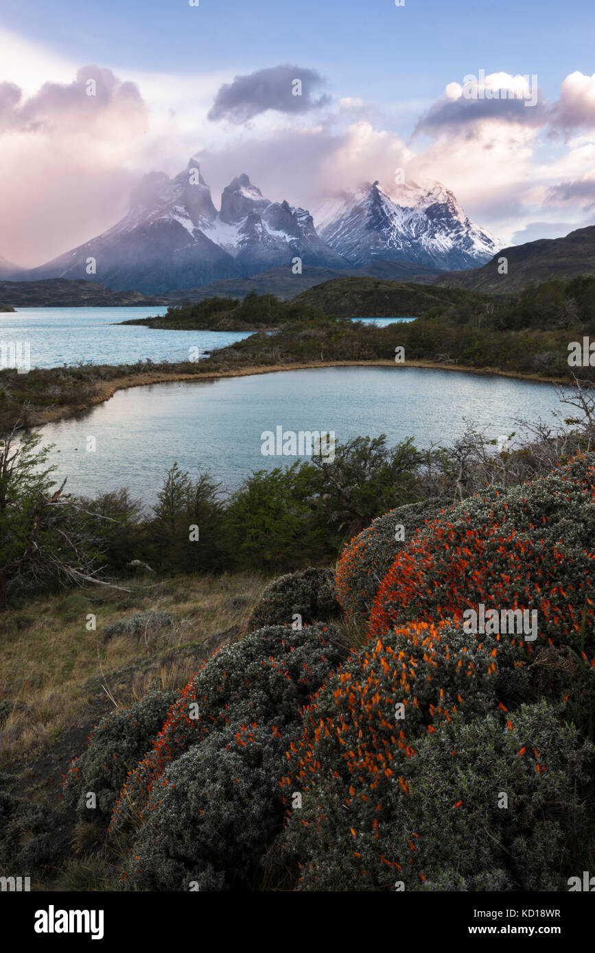 Die Landschaft des Torres del Paine National Park Stockfoto