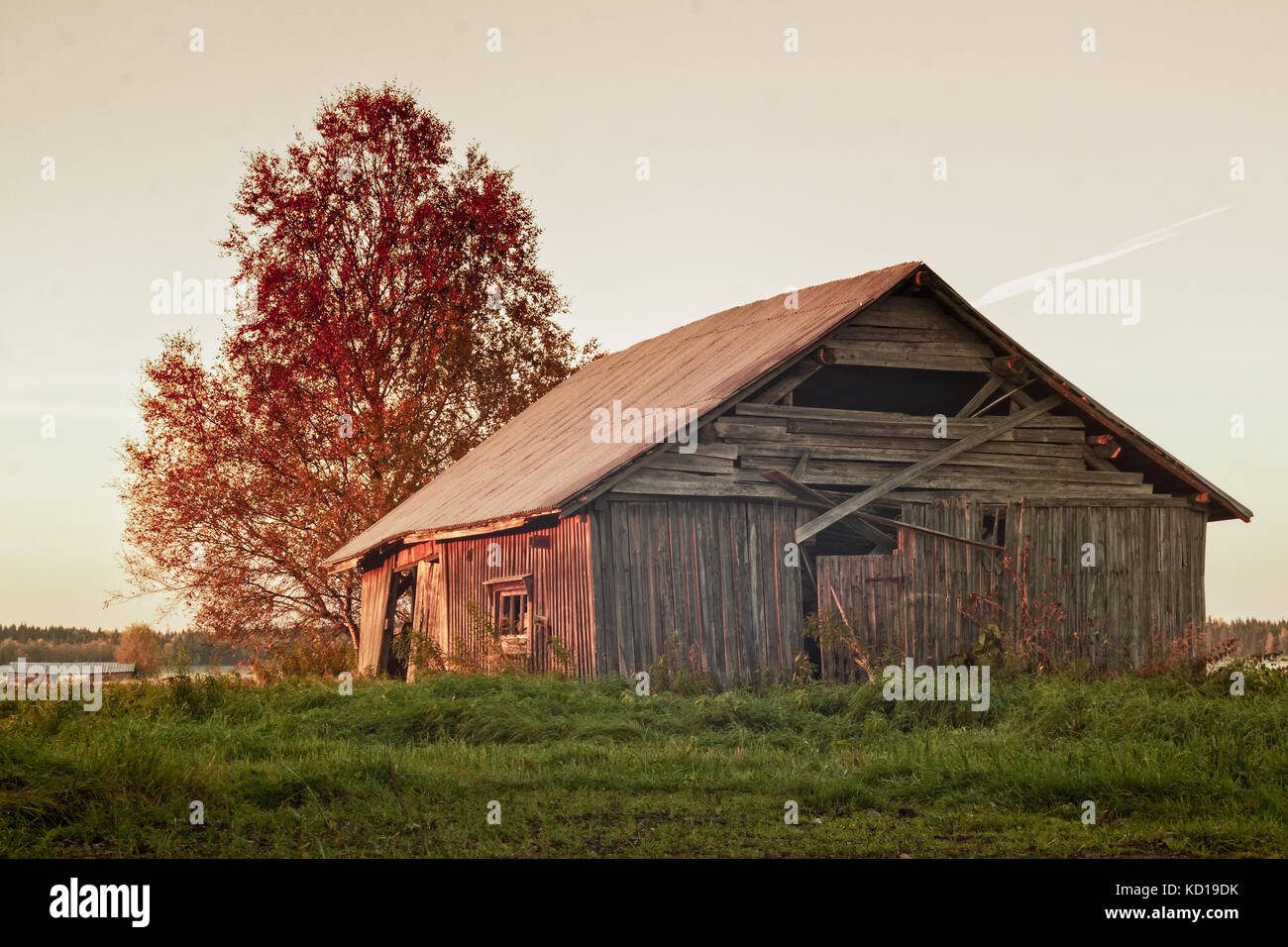 Der Nebel steigt auf den Feldern der nördlichen Finnland. Die alte Scheune Haus ist rot gefärbt durch den Sonnenuntergang. Stockfoto