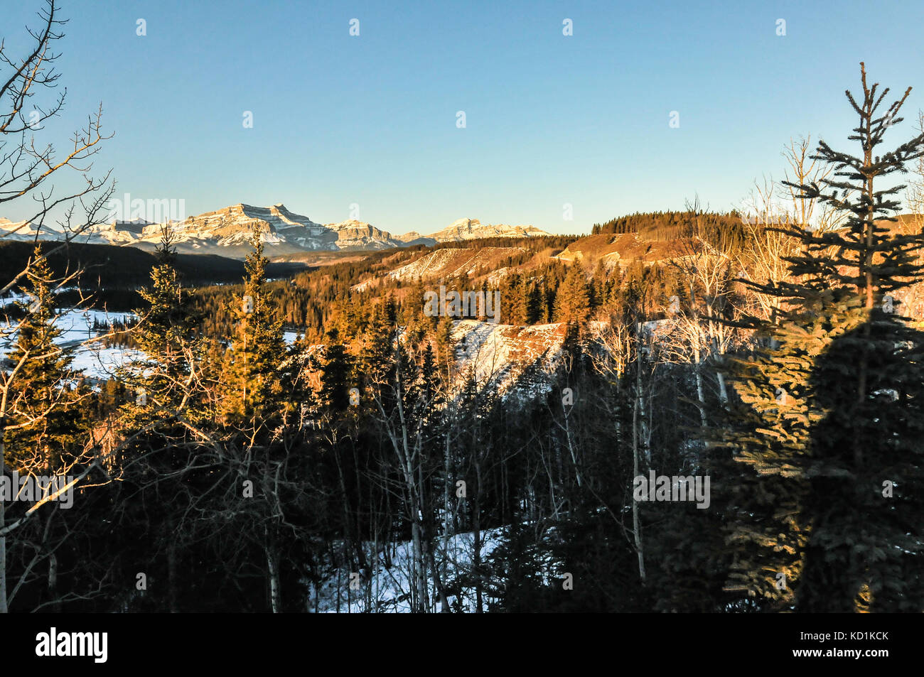 Verschneite Berglandschaft. Winter in den kanadischen Bergen Stockfoto