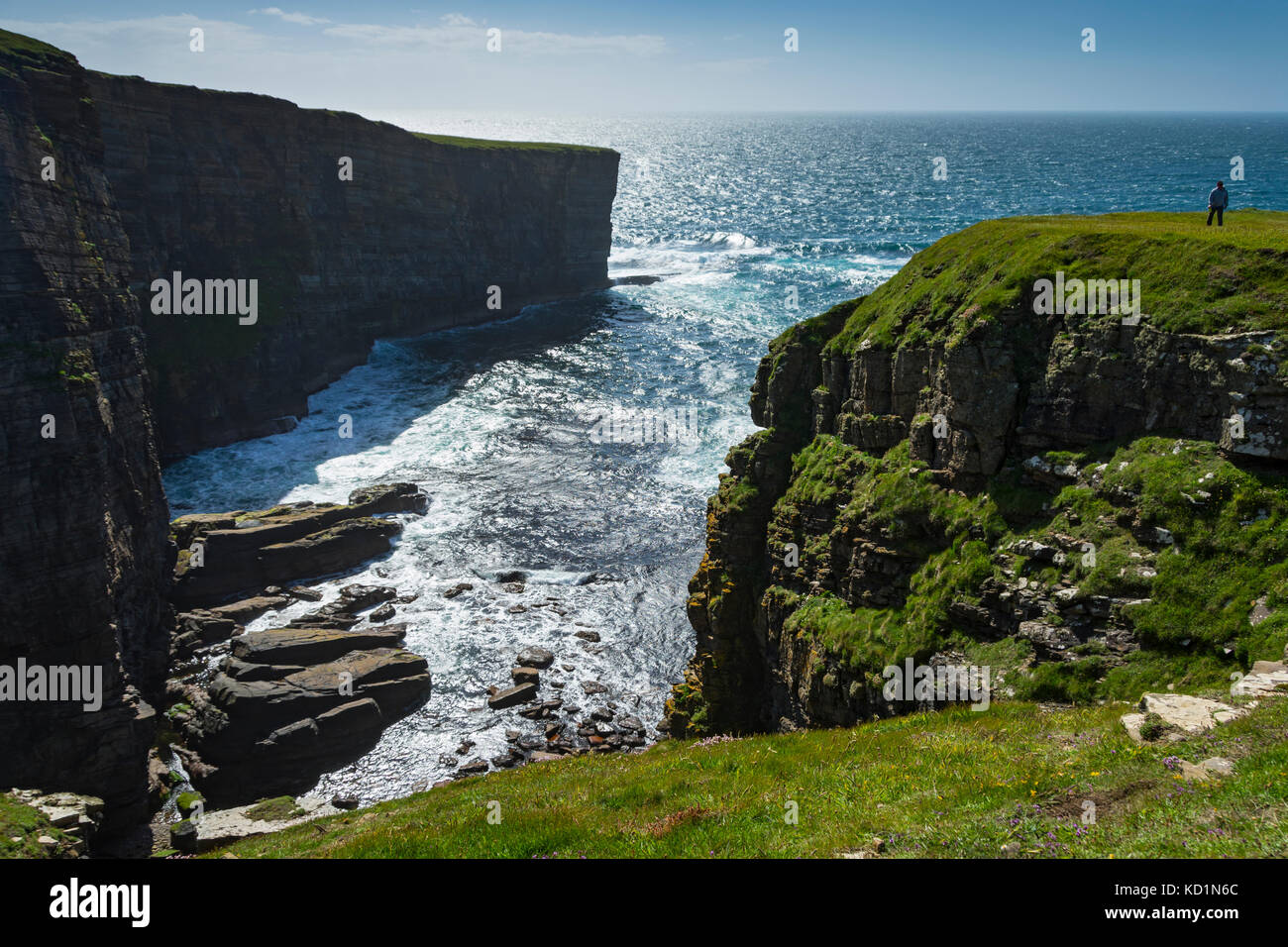 Die Klippen von Yesnaby, Orkney Mainland, Schottland, Großbritannien. Stockfoto