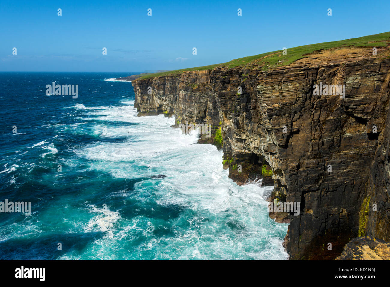 Die Klippen von Yesnaby, Orkney Mainland, Schottland, Großbritannien. Stockfoto