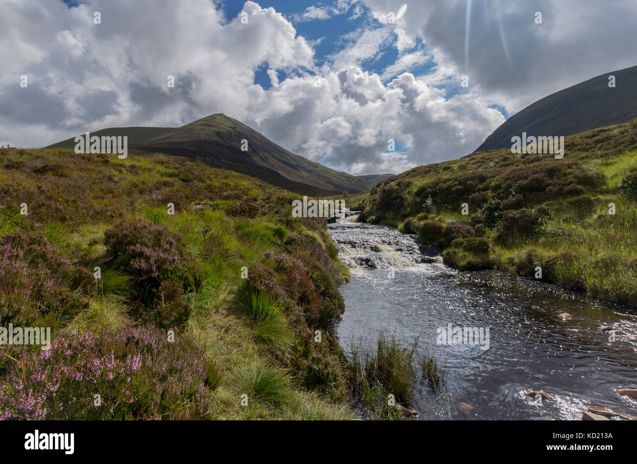 Ben Wyvis anzeigen Stockfoto
