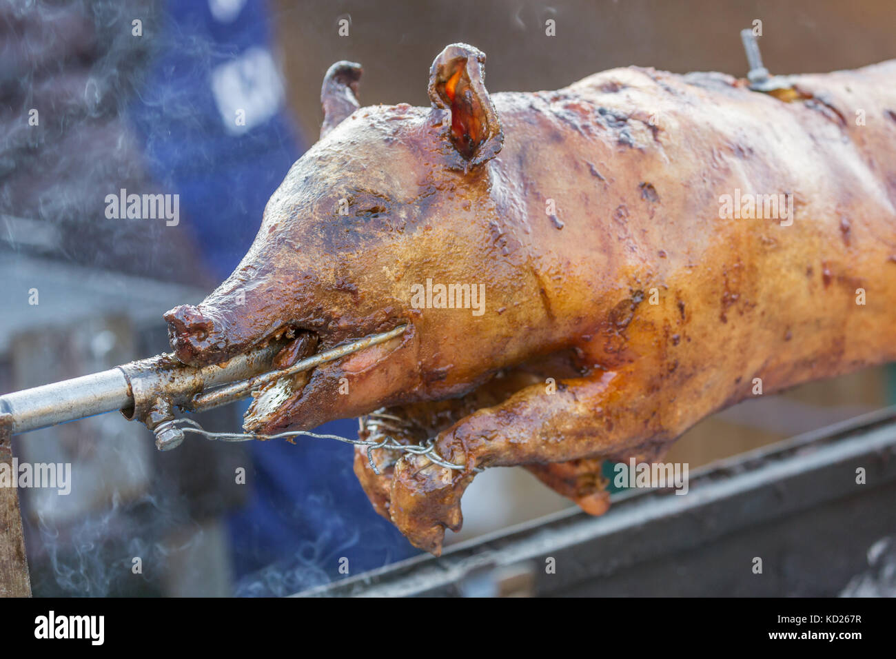 Pernik, Bulgarien - Januar 27, 2017: Typische festival Kochen - schweins auf riesigen spieß ist langsam Grillen draußen an surva, der internationalen Festi Stockfoto