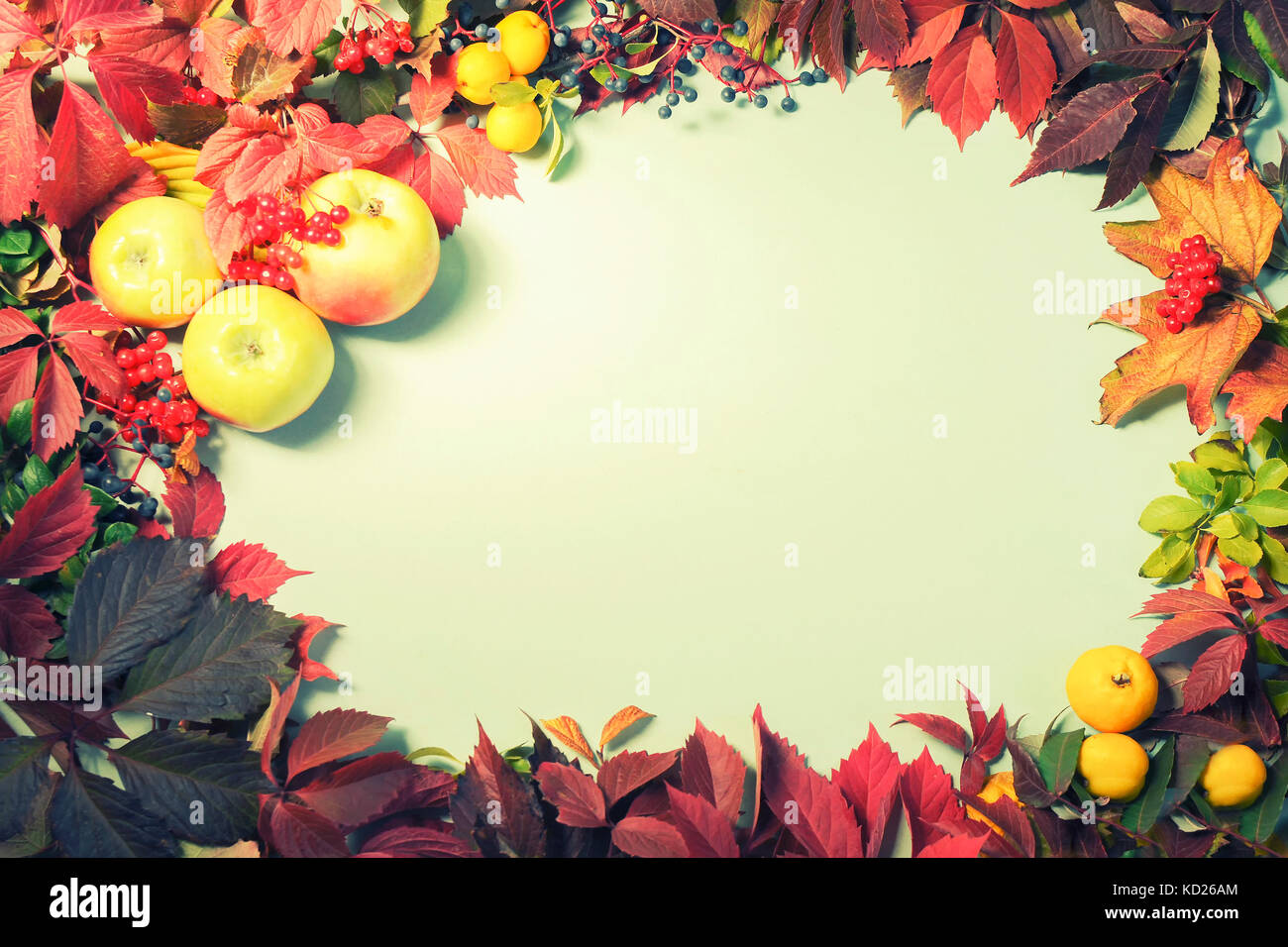 Herbst Der Herbst Blätter und Früchte, Ansicht von oben, Copyspace, Hintergrund, Rahmen Stockfoto