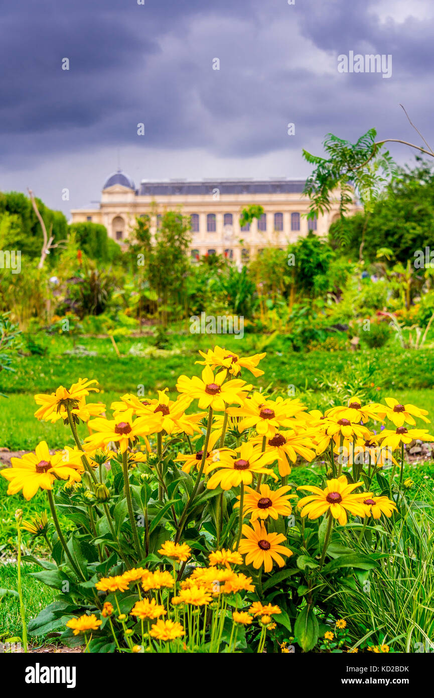 Jardin des plantes mit der Grande Galerie de lEvolution im Hintergrund in Paris, Frankreich Stockfoto