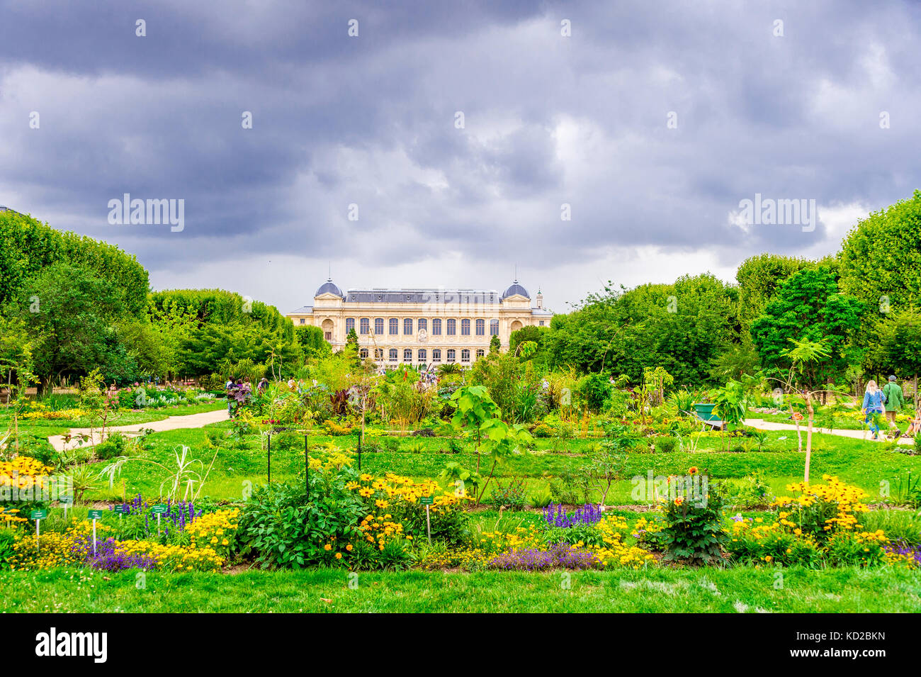 Jardin des plantes mit der Grande Galerie de lEvolution im Hintergrund in Paris, Frankreich Stockfoto