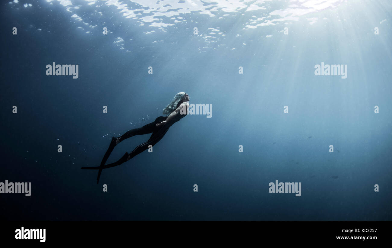 Unterwasseransicht der weiblichen free Diver bis hin zu Sonnenstrahlen, New Providence, Bahamas Stockfoto