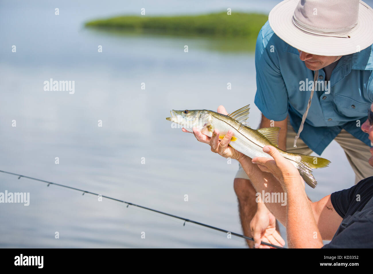Männer bewundern snook Fisch vor dem Loslassen Stockfoto
