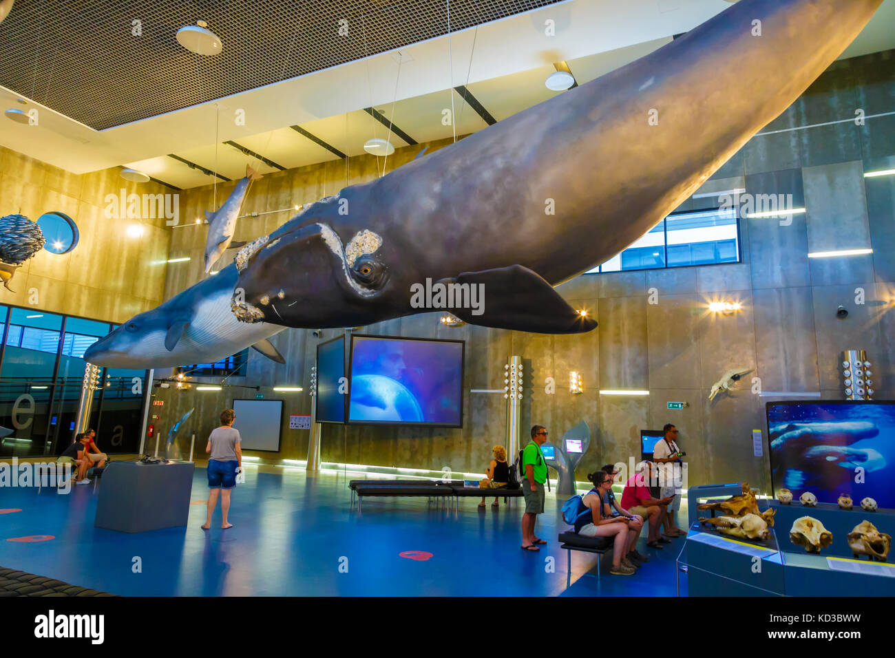 Walmuseum. Stockfoto
