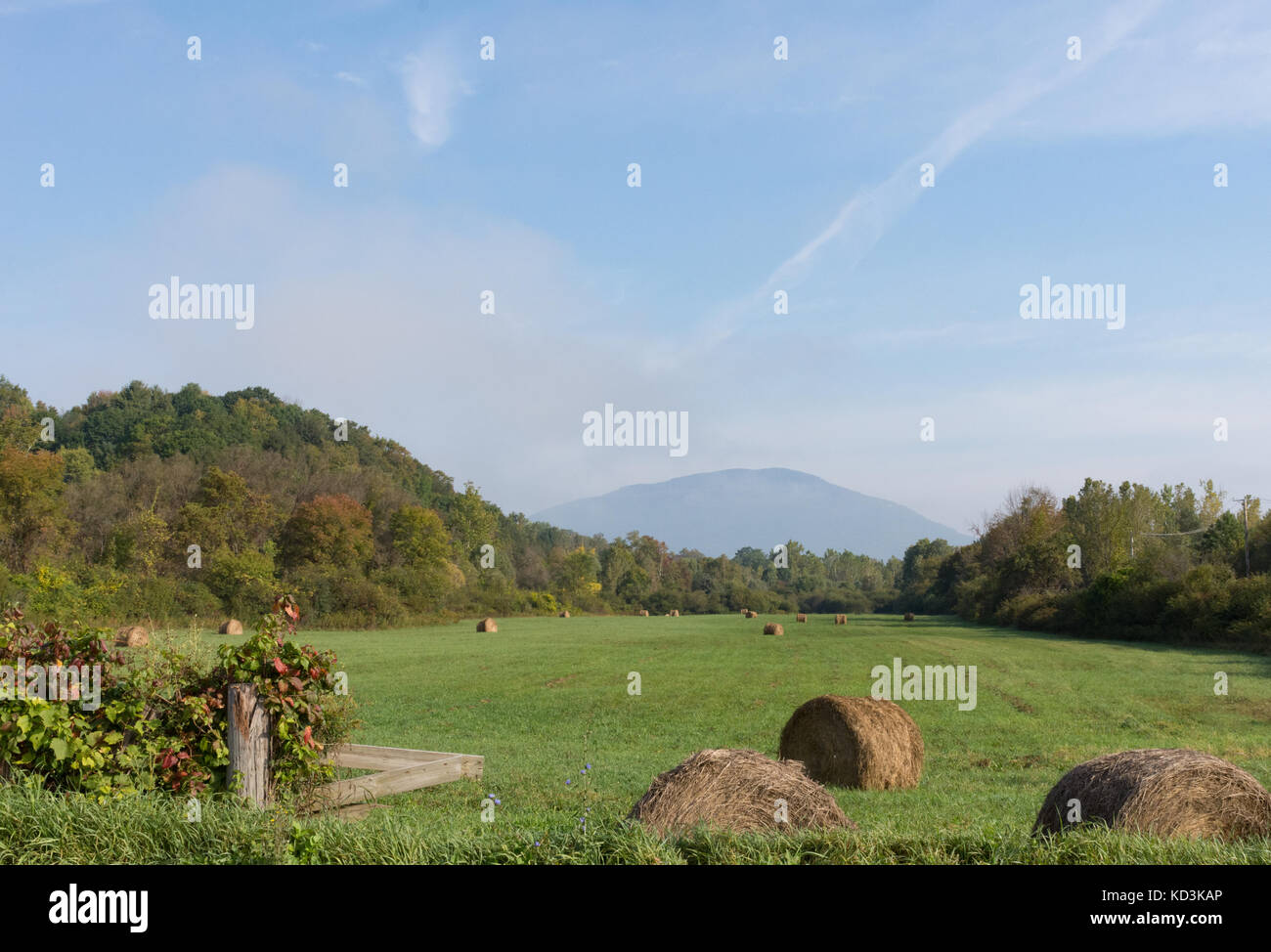 Große runde Heuballen die Länge einer grünen Wiese mit einem Berg in der Ferne und dünne Wolken über verstreut. Stockfoto