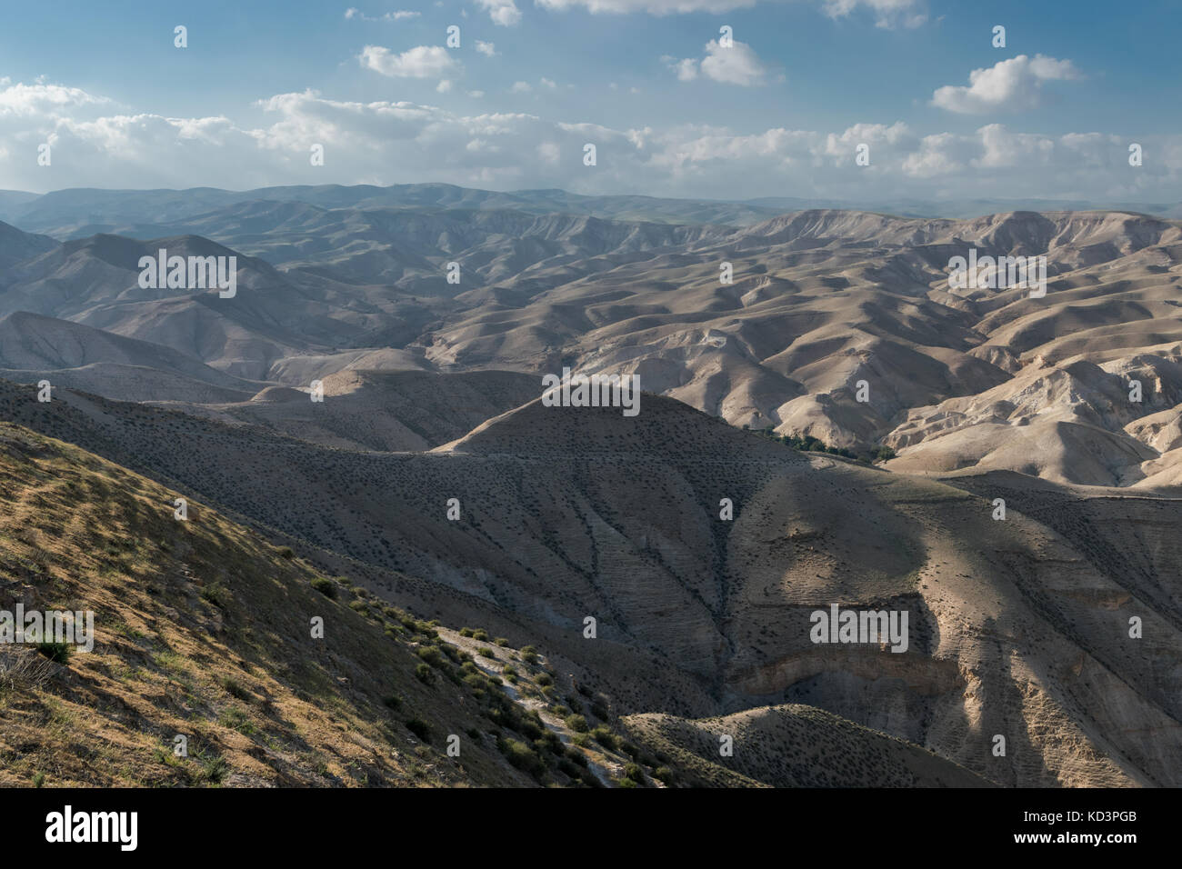 Desert Hills Stockfoto