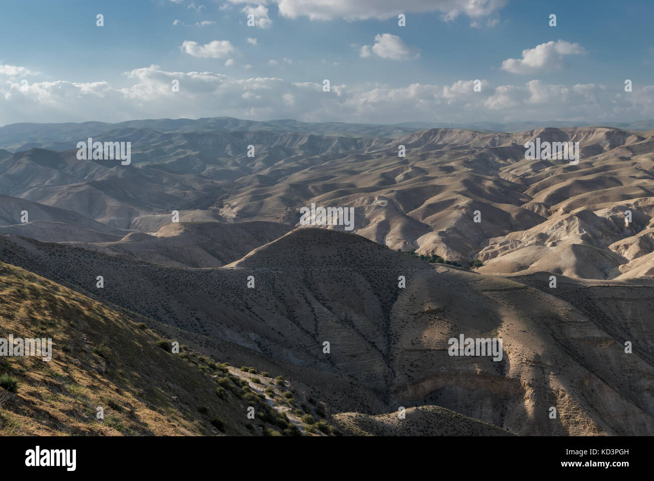 Desert Hills von negev Stockfoto