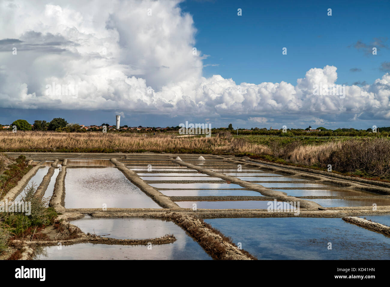 Sault Marches, Loix en Re, Ile de Re, Nouvelle-Aquitaine, französische Westküste, frankreich, Stockfoto