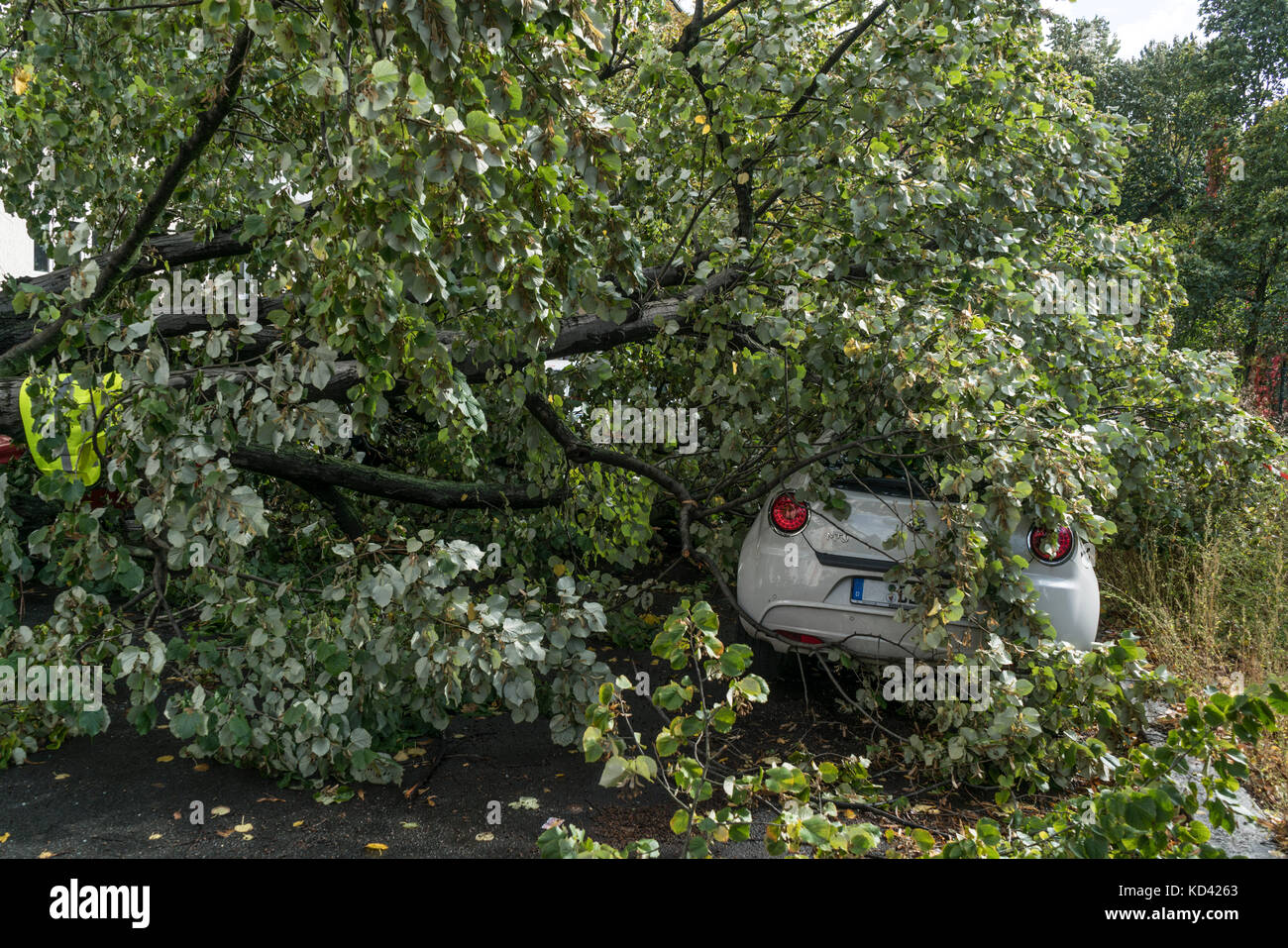 Sturm Xavier, Schäden durch fallenden Baum | sturmtief Xavier wuetet ueber Deutschland am 5.10.2017, Umgestuerzter Baum, Neukölln, Berlin Stockfoto