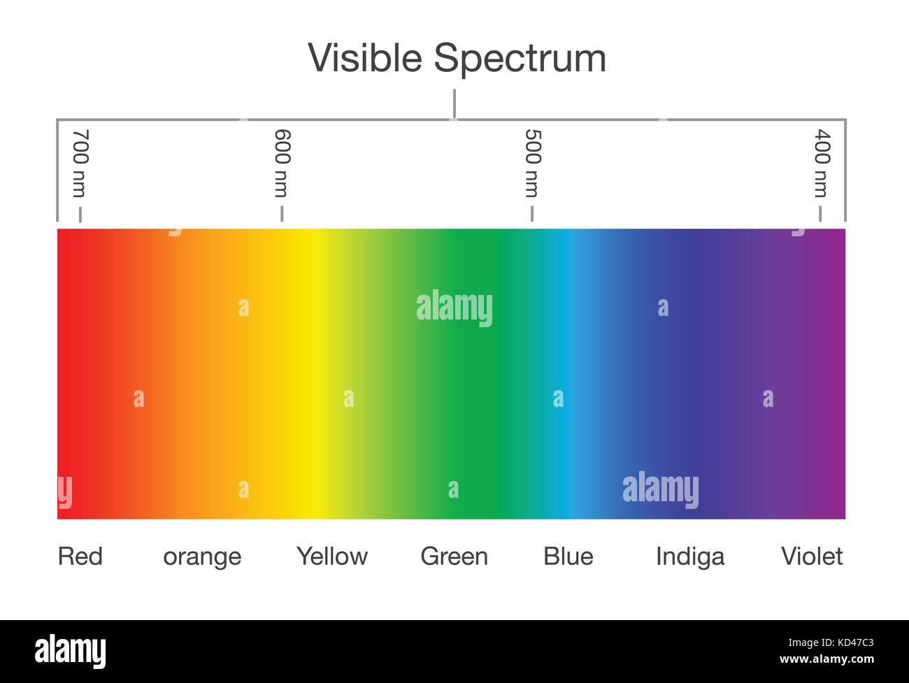 Diagramm der sichtbaren Spektrum Farbe. Stock Vektor