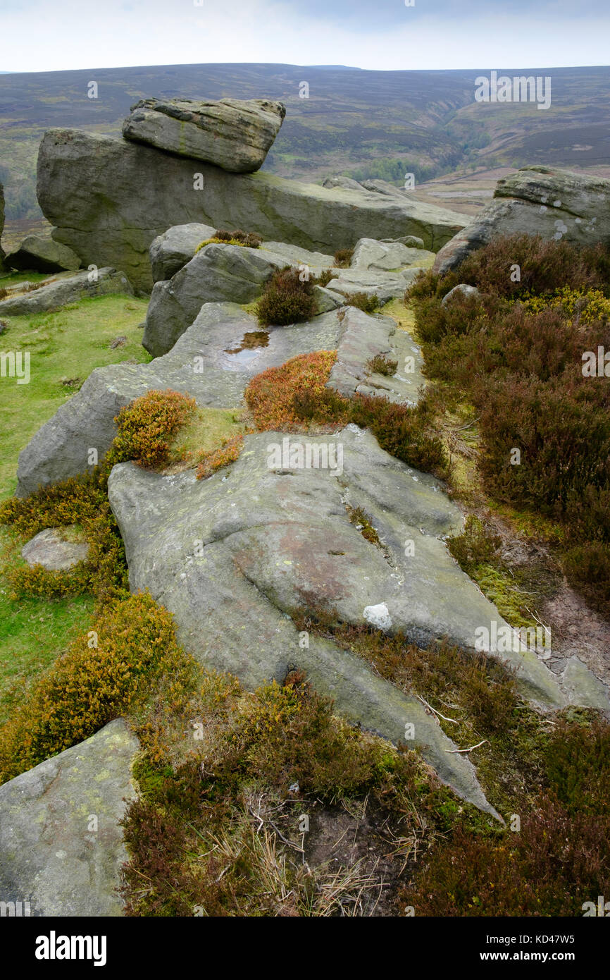 Hurkling Stones am Hurkling Edge, Broomhead Moor, Peak District, Großbritannien Stockfoto