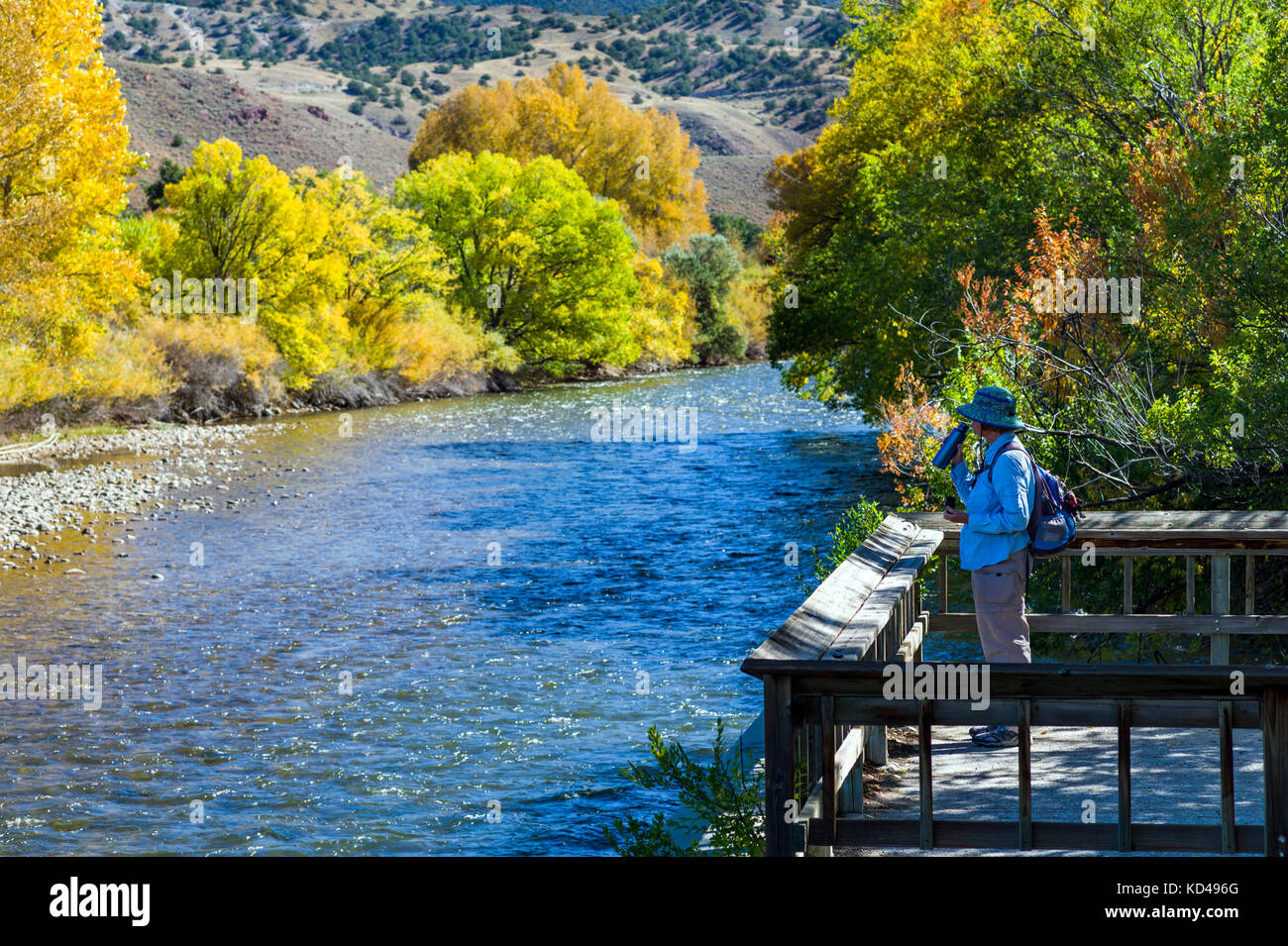 Weibliche Wanderer genießen Herbst Laub Farben am Arkansas River, der durch die Downtown Historic District von der kleinen Bergstadt Sal läuft Stockfoto