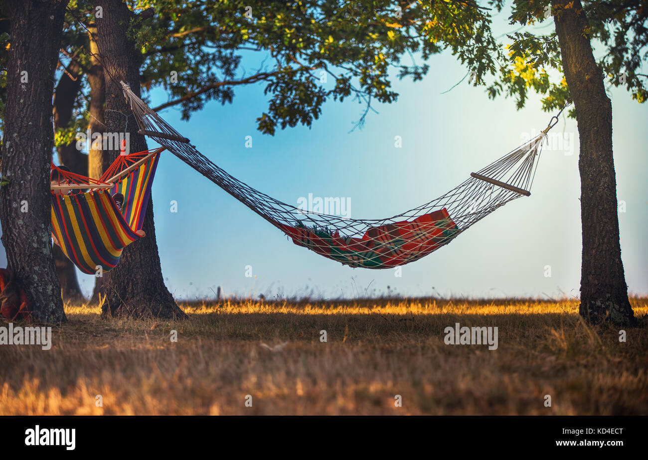 Entspannen in der Hängematte im Wald Stockfoto