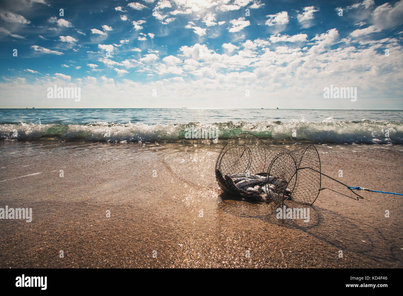Fischernetz coop Trap, einer schwimmenden Korb für lebende Fische im Wasser. Stockfoto
