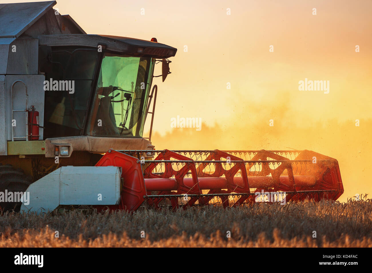 Mähdrescher Landwirtschaft Maschine erntet goldenen Reif Weizenfeld Stockfoto