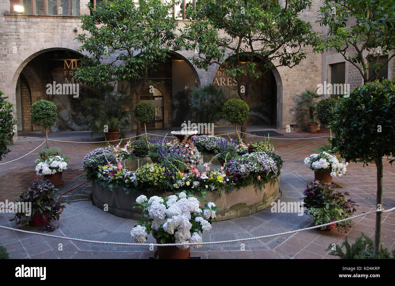 Das Museu Frederic Marès im Herzen des Gotischen Viertels in Barcelona Barcelona Katalonien Spanien Stockfoto