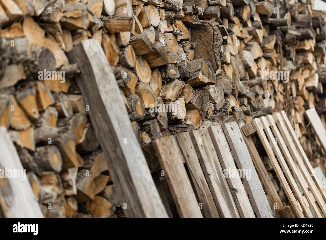 Ein Haufen gestapelt Brennholz. die Vorbereitung für die Wintersaison. Stockfoto
