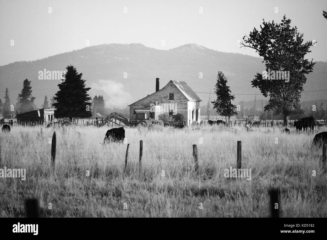 Liebe die natur, Nordwesten und Texas Stockfoto