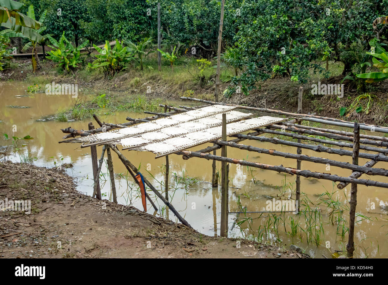Reis papier Trocknen auf Bambus Racks entlang des Mekong in Vietnam  Stockfotografie - Alamy